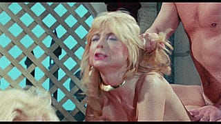 Doggystyle Nina Hartley Threesome'