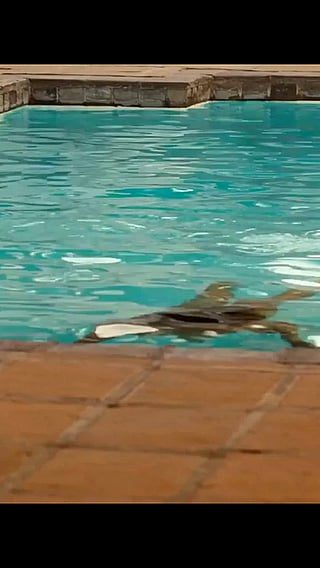 Natalie Becker Strikes Back in S03E03: Bikini, Brunette, and Nudity Await'