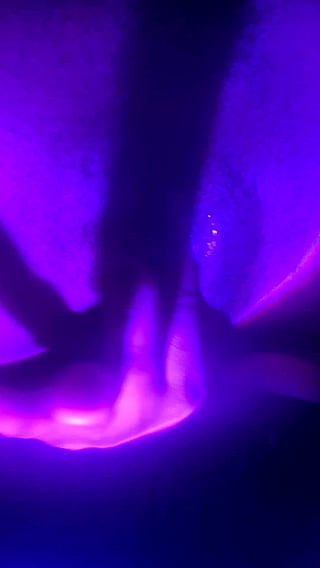 Pussy Pleasing: My Vagina Needs Attention'