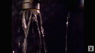 Pamela Anderson's Leaky Faucet'