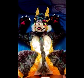 Furry Fuck Fest: Cum Inside or Pull Out'