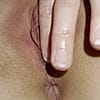 Anastas_Rutabaga4173