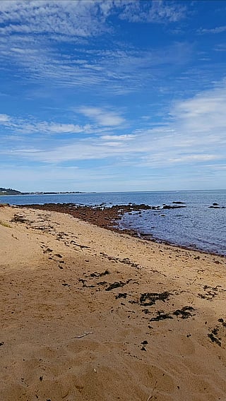It's heating up on the peninsula today...: Beach, Bikini, Boobs, Natural Tits, Nipples, Public, Tits'