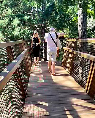 Mom Gets Flashed at Serralves Park in Porto'