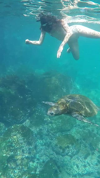 Naked Snorkeling: A Daring Adventure'