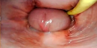 Wife's Pussy Creamed: A POV Amateur Creampie Experience'