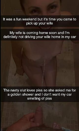 Your wife so it's your responsability to come pick her up and drive her stinking of piss in your car (Captionsforever on imagefap)'